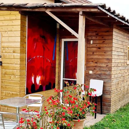 Cabane Cote Jardin Toulouse Luaran gambar